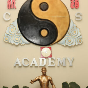 logo at acchs