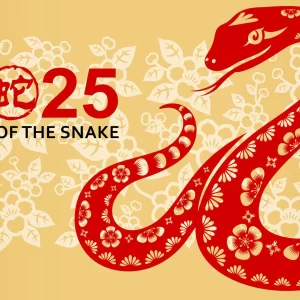Chinese New Year Party